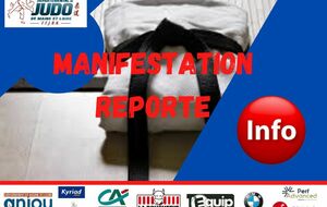 REPORT MANIFESTATIONS