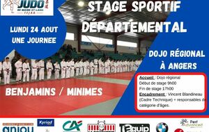 Stage Départemental benjamins  /minimes (une journée)