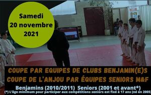 coupe par Equipes de clubs benjamin(e)s /seniors
