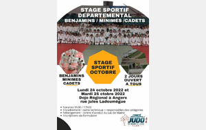 Stage sportif départemental B/M/C