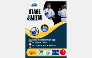 Stage jujitsu n°2 9h-12h