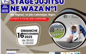 9h-12h: stage ne waza-jujitsu n°1