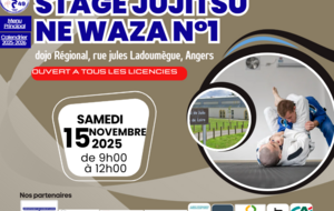 9h-12h: stage ne waza-jujitsu n°1