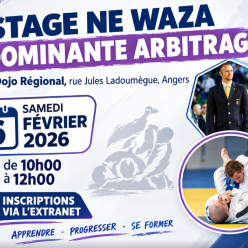 Stage Ne waza dominante arbitrage
